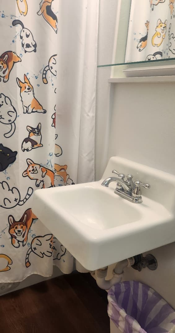 bathroom sink and shower curtain