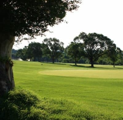 A lush, green golf course lined with trees under a bright sky.