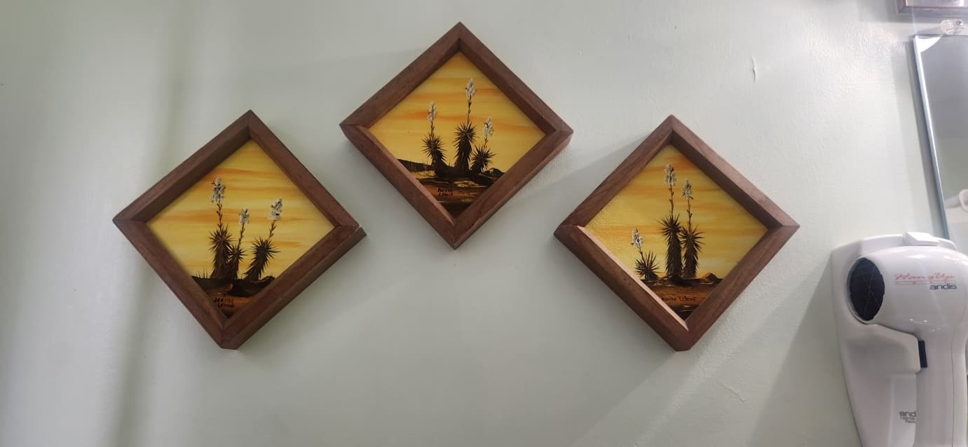 three diamond shaped picture frames with cactus images
