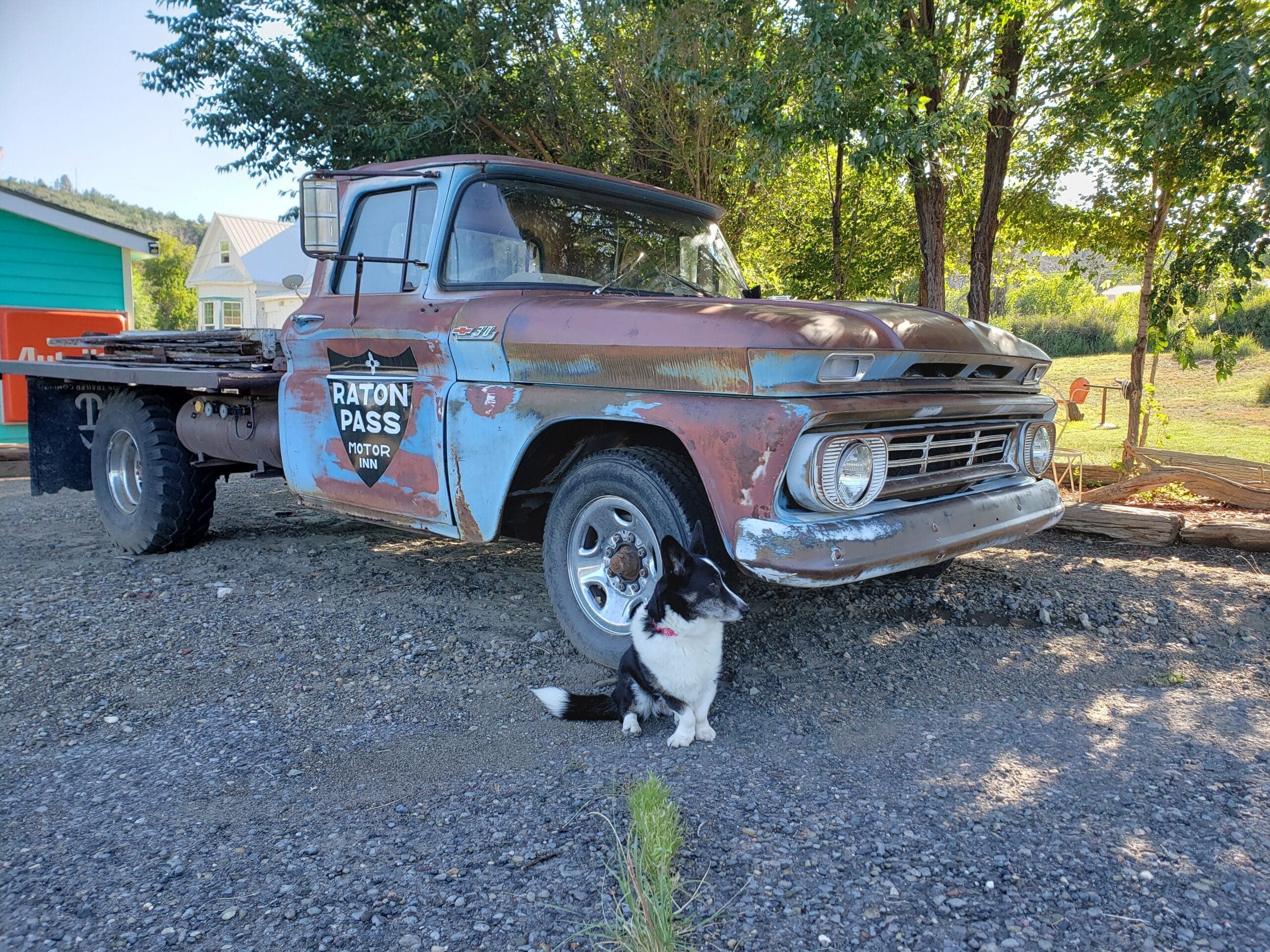 A black-and-white dog sits next to a vintage, rusty pickup truck in a gravel yard surrounded by trees. A black-and-white dog sits next to a vintage, rusty pickup truck in a gravel yard surrounded by trees.