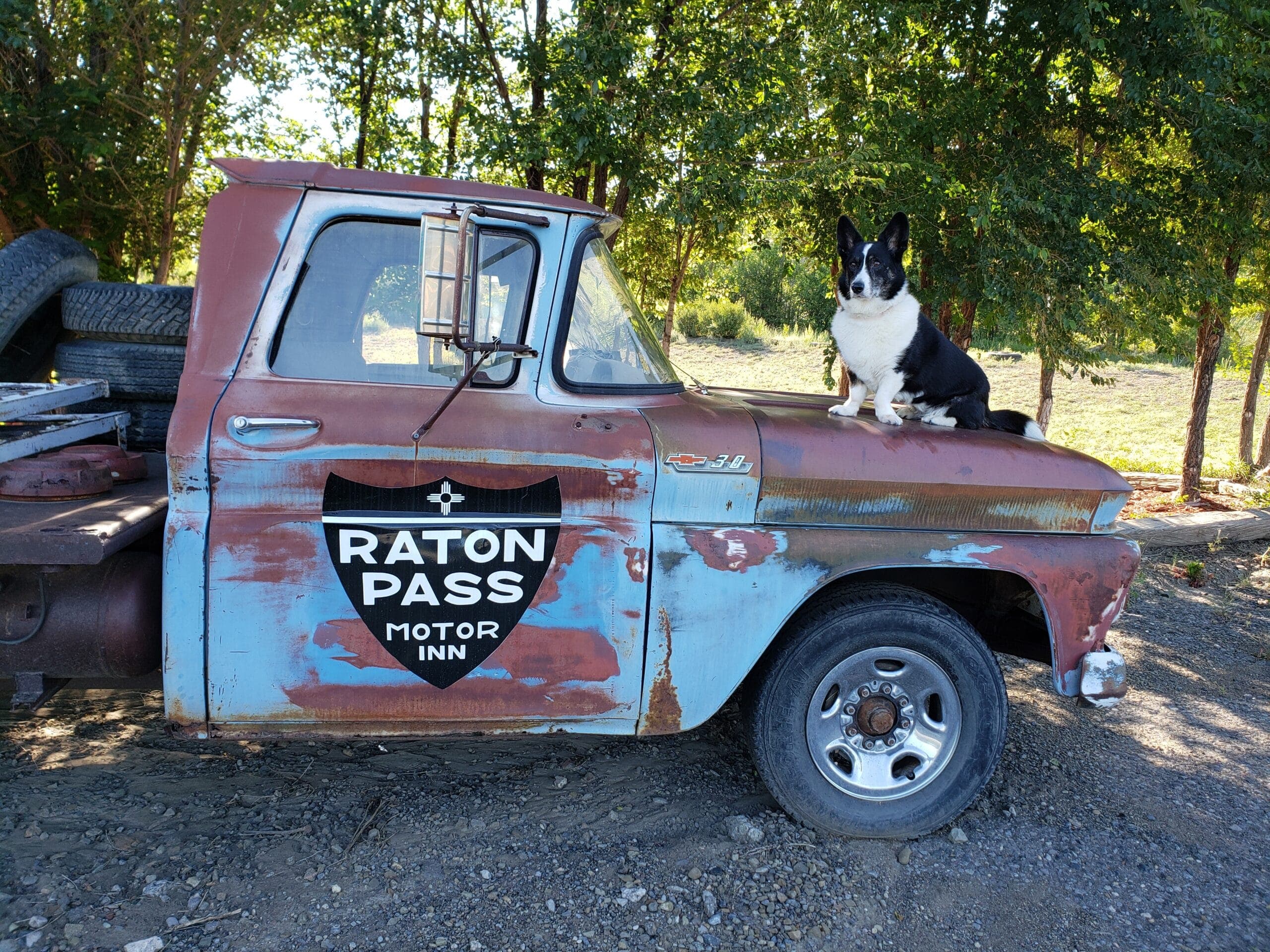 A dog sits atop an old, rusted pickup truck with a "Raton Pass Motor Inn" sign.