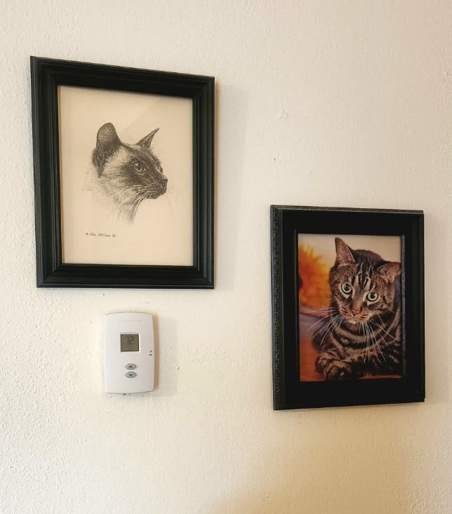 2 portraits of cats on the wall