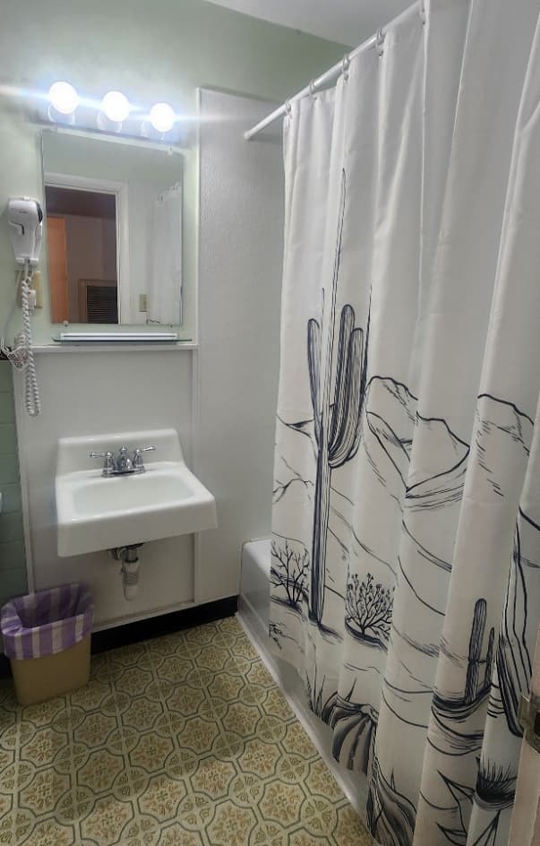 shower curtain, bathroom sink and mirror